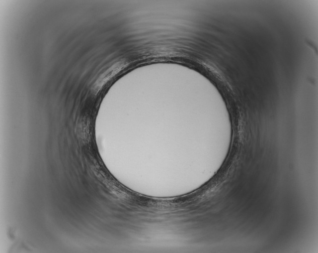 X0000100190873200806201355