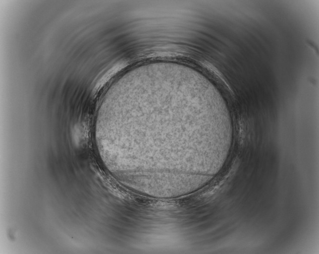 X0000100190874200806201355