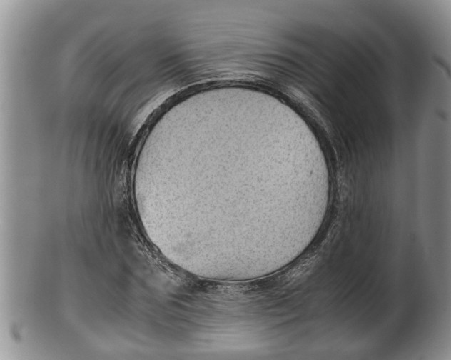 X0000100190875200806201355