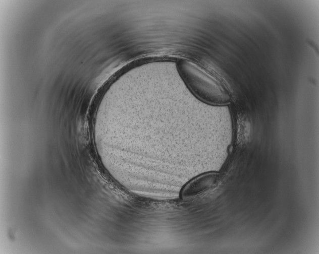 X0000100190876200806201355