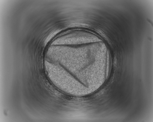 X0000100190877200806201355