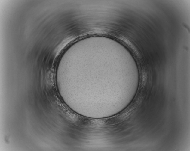 X0000100190878200806201355