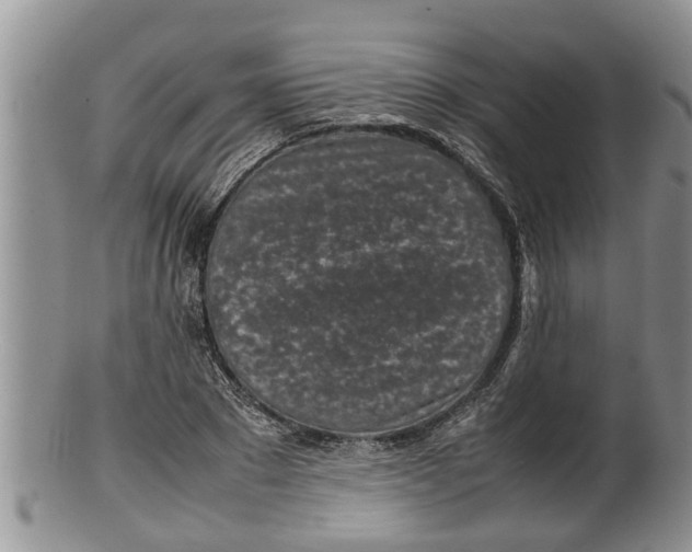 X0000100190881200806201355