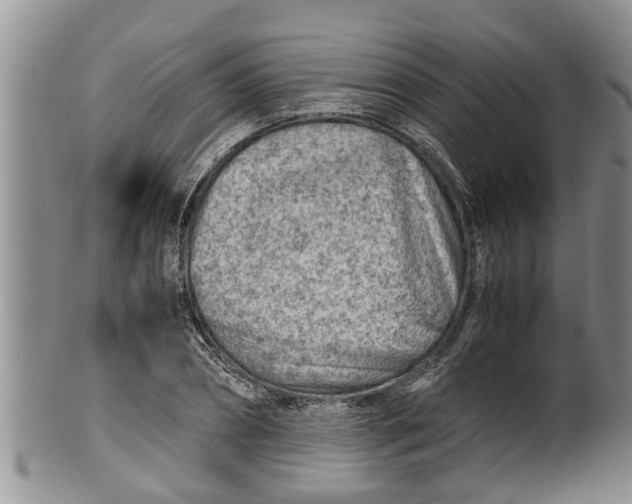 X0000100190882200806201355