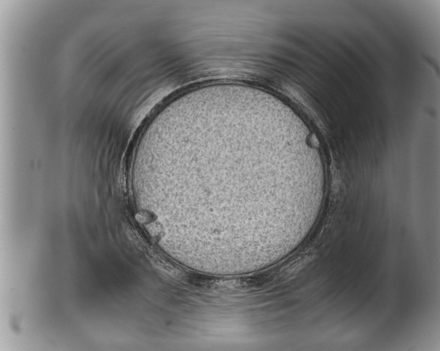 X0000100190883200806201355