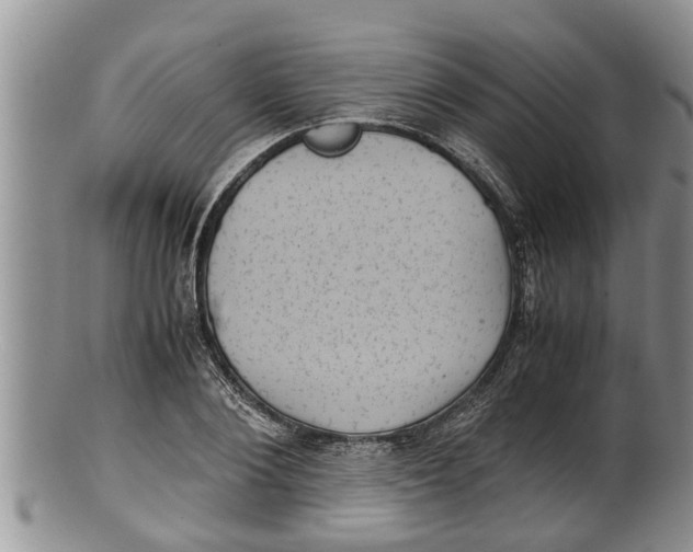 X0000100190884200806201355