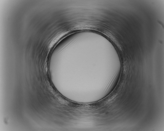 X0000100190885200806201355
