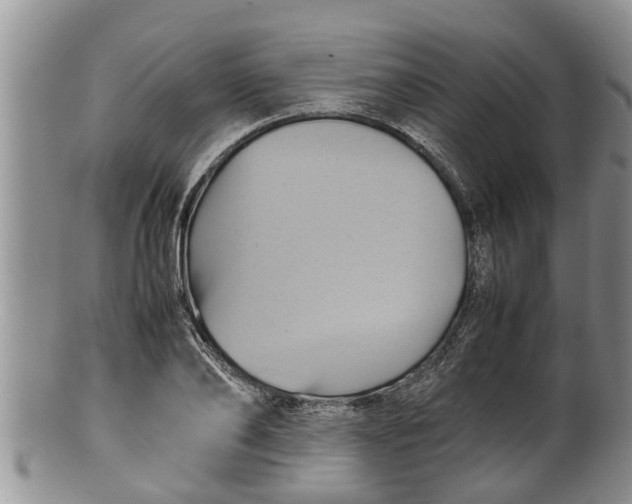 X0000100190886200806201355