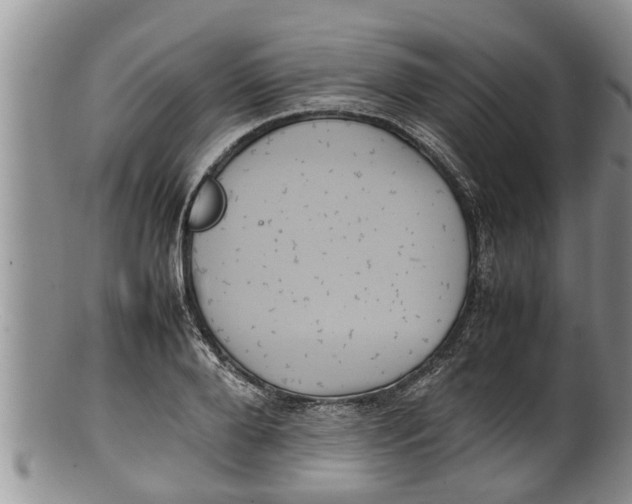 X0000100190888200806201355