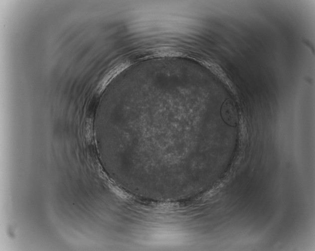 X0000100190889200806201355