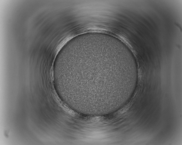 X0000100190891200806201355