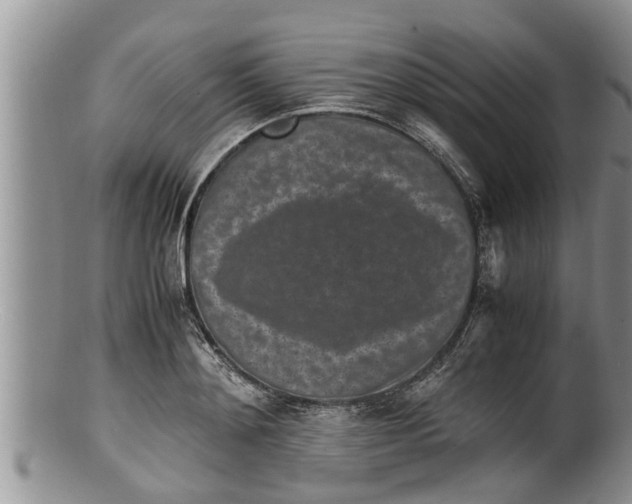 X0000100190892200806201355