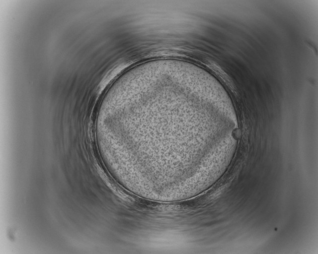 X0000100190893200806201355