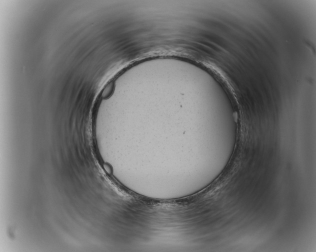 X0000100190894200806201355