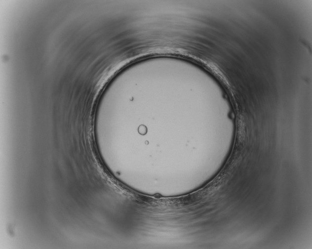 X0000100190895200806201355
