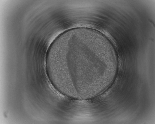 X0000100190896200806201355
