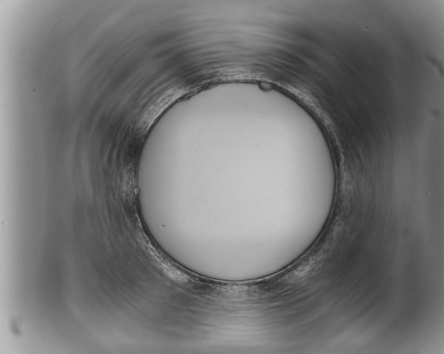 X0000100190897200806201355