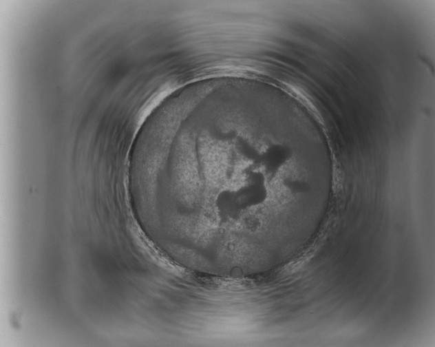 X0000100190899200806201355