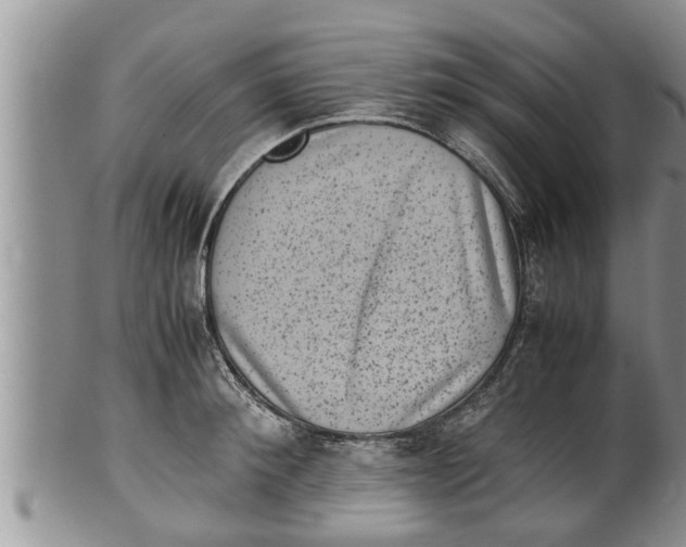 X0000100190900200806201355