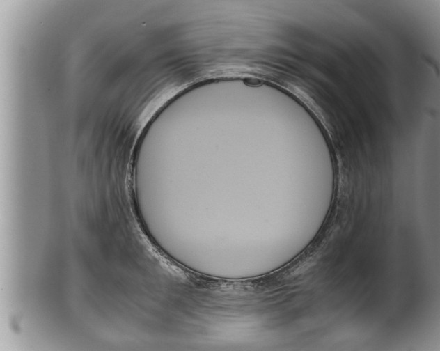 X0000100190901200806201355