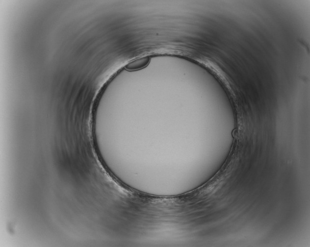 X0000100190902200806201355