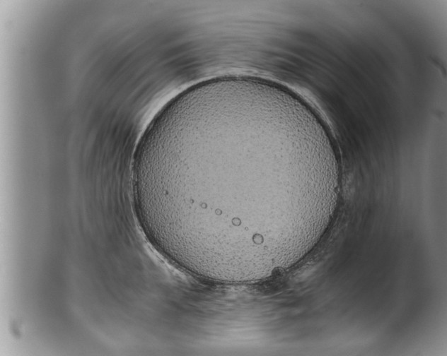 X0000100190903200806201355