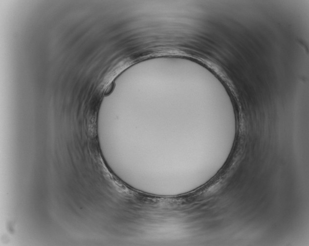 X0000100190905200806201355