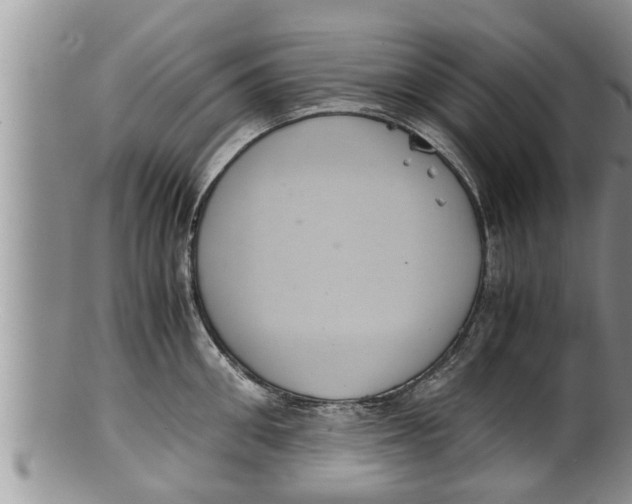 X0000100190906200806201355
