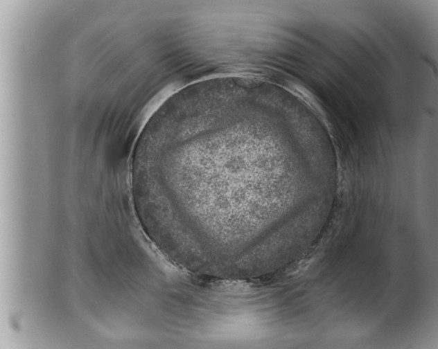 X0000100190907200806201355