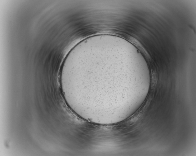 X0000100190908200806201355