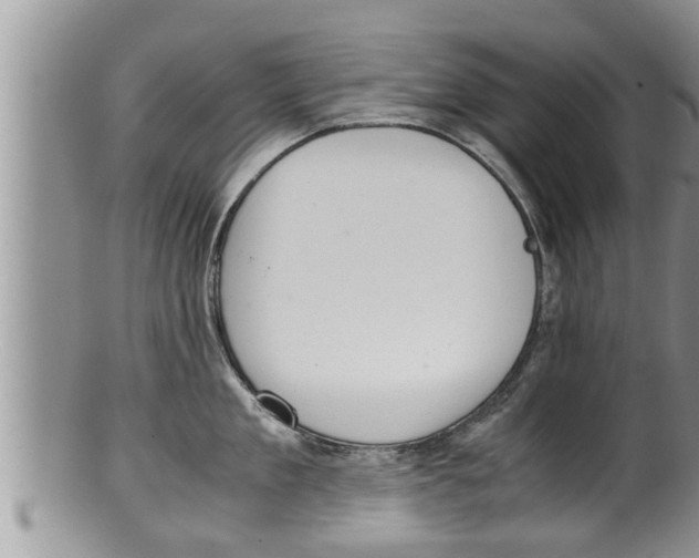 X0000100190909200806201355