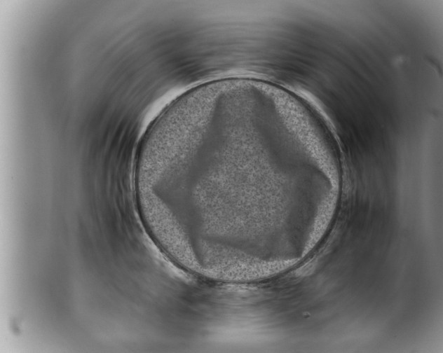 X0000100190910200806201355