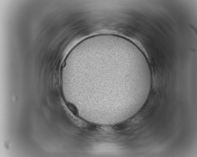 X0000100190911200806201355