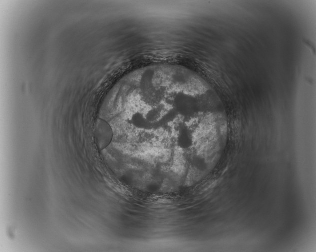 X0000100190913200806201354