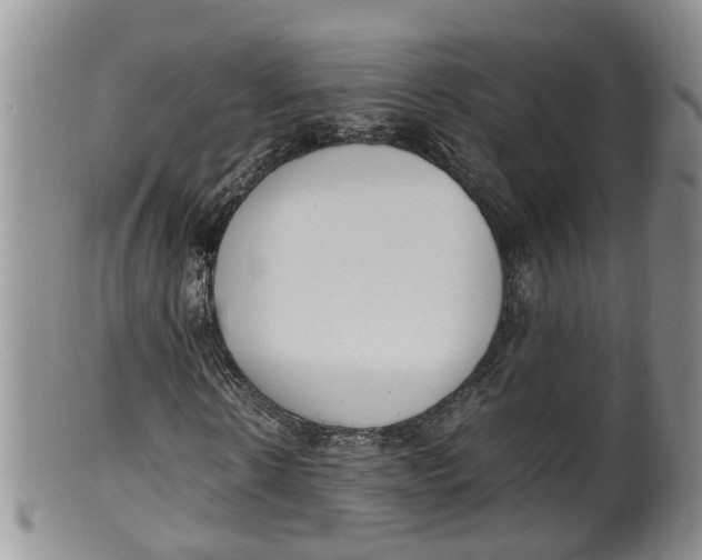 X0000100190914200806201354