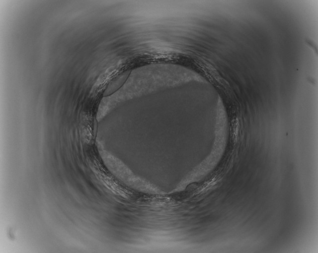 X0000100190916200806201354