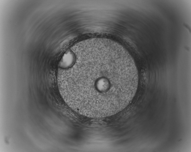 X0000100190918200806201354