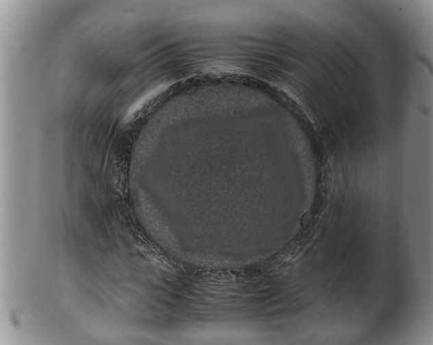 X0000100190919200806201354