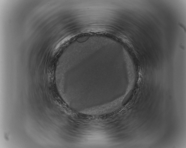 X0000100190920200806201354