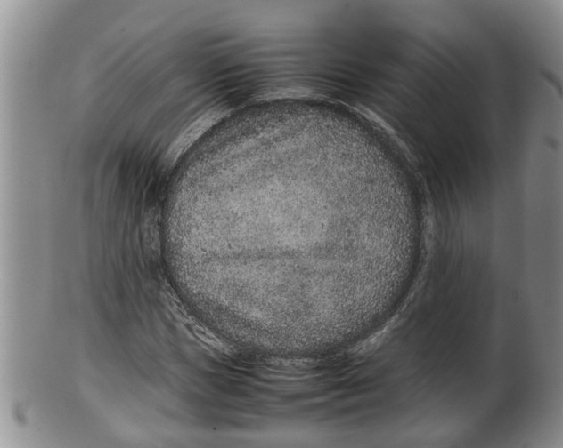 X0000100190921200806201354