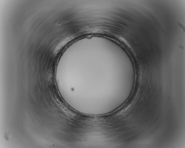 X0000100190922200806201354