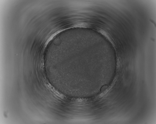 X0000100190923200806201354