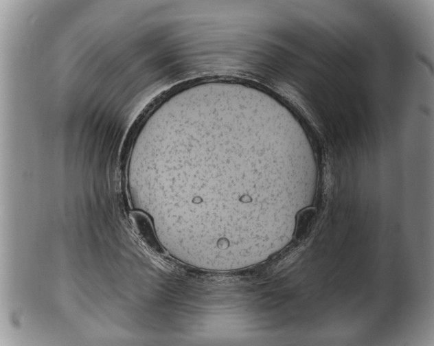 X0000100190924200806201354
