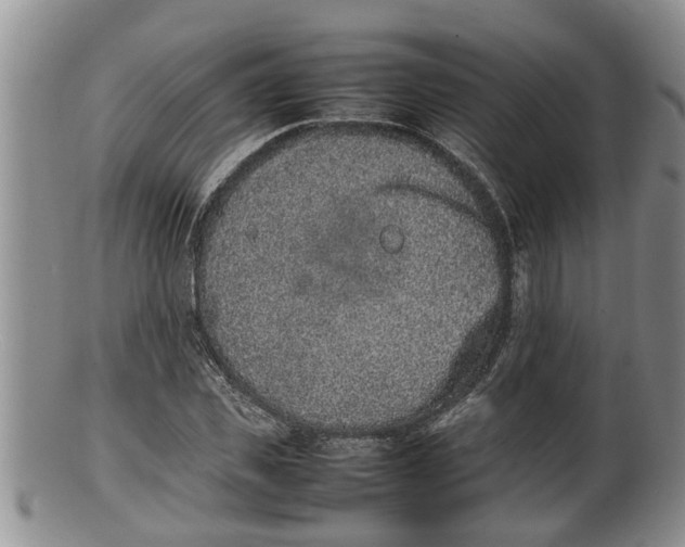 X0000100190925200806201354