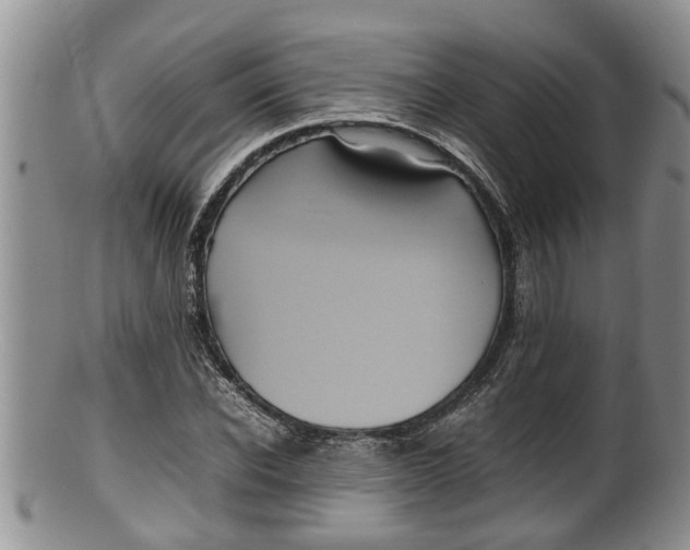 X0000100190926200806201354