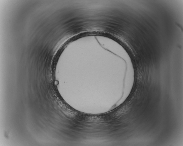 X0000100190927200806201354