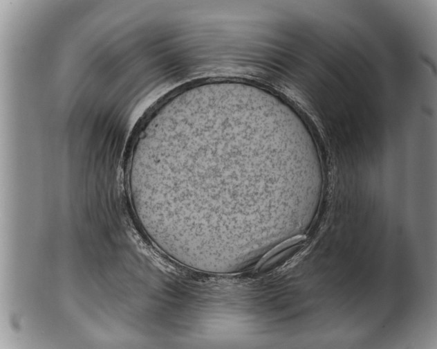 X0000100190928200806201354