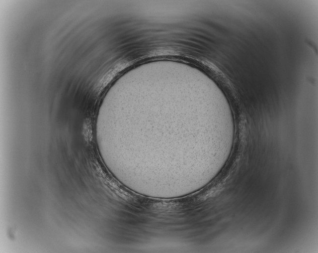 X0000100190929200806201354