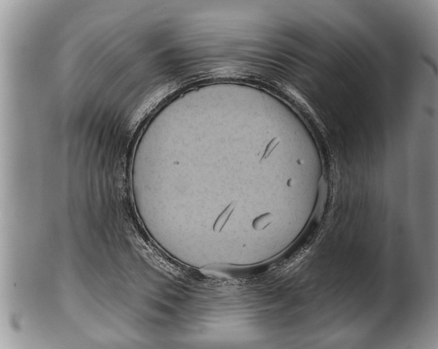 X0000100190930200806201354