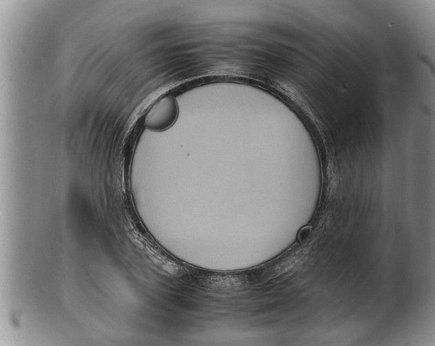 X0000100190931200806201354